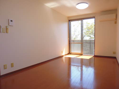 クリサ・ノーヴァ C202号-2