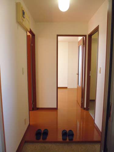 クリサ・ノーヴァ C202号-3