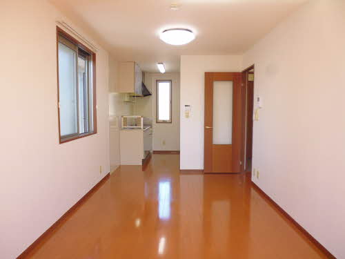 クリサ・ノーヴァ C202号-8