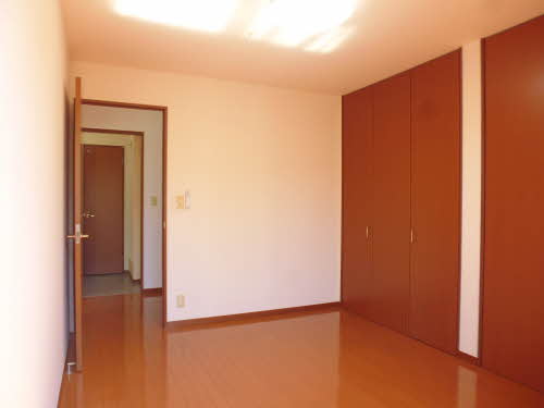 クリサ・ノーヴァ C202号-9