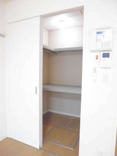 フィニックスＢ 0106号-11