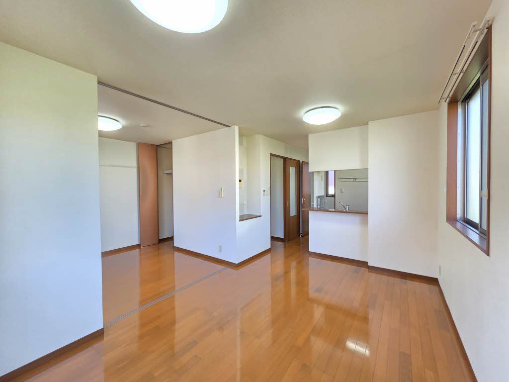 カモミール B102号-2