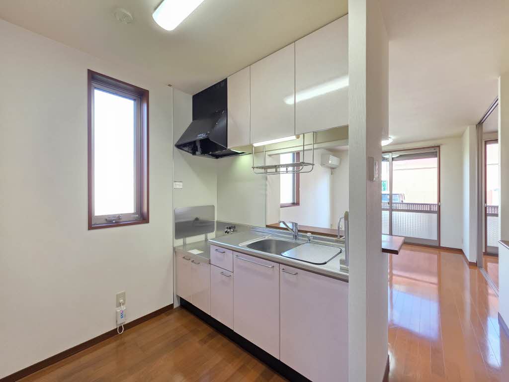 カモミール B102号-4