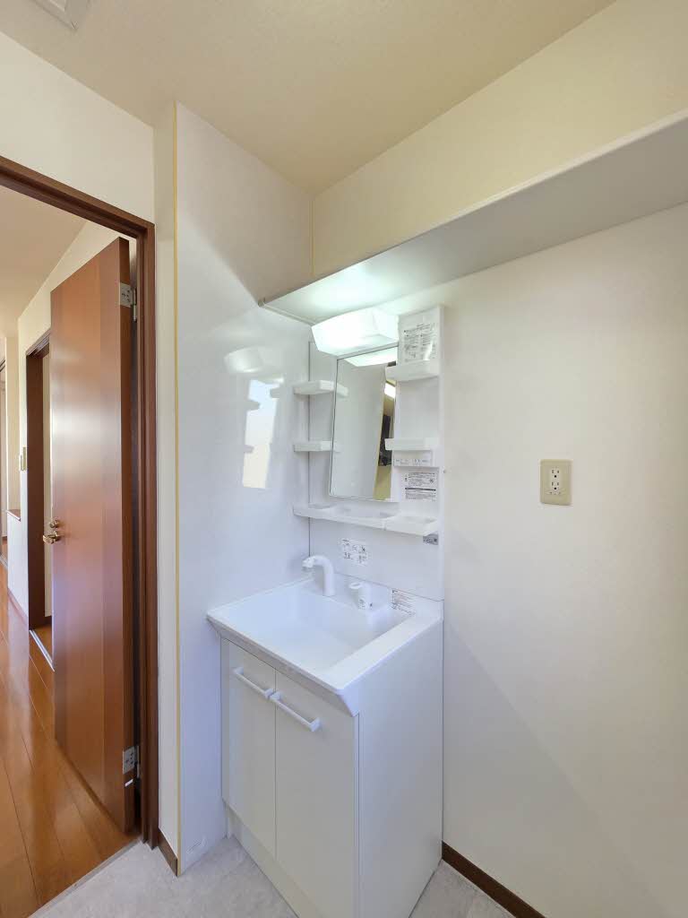 カモミール B102号-6