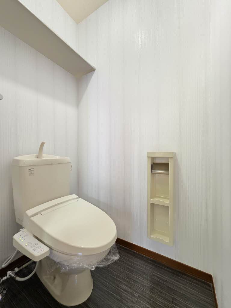 カモミール B102号-7