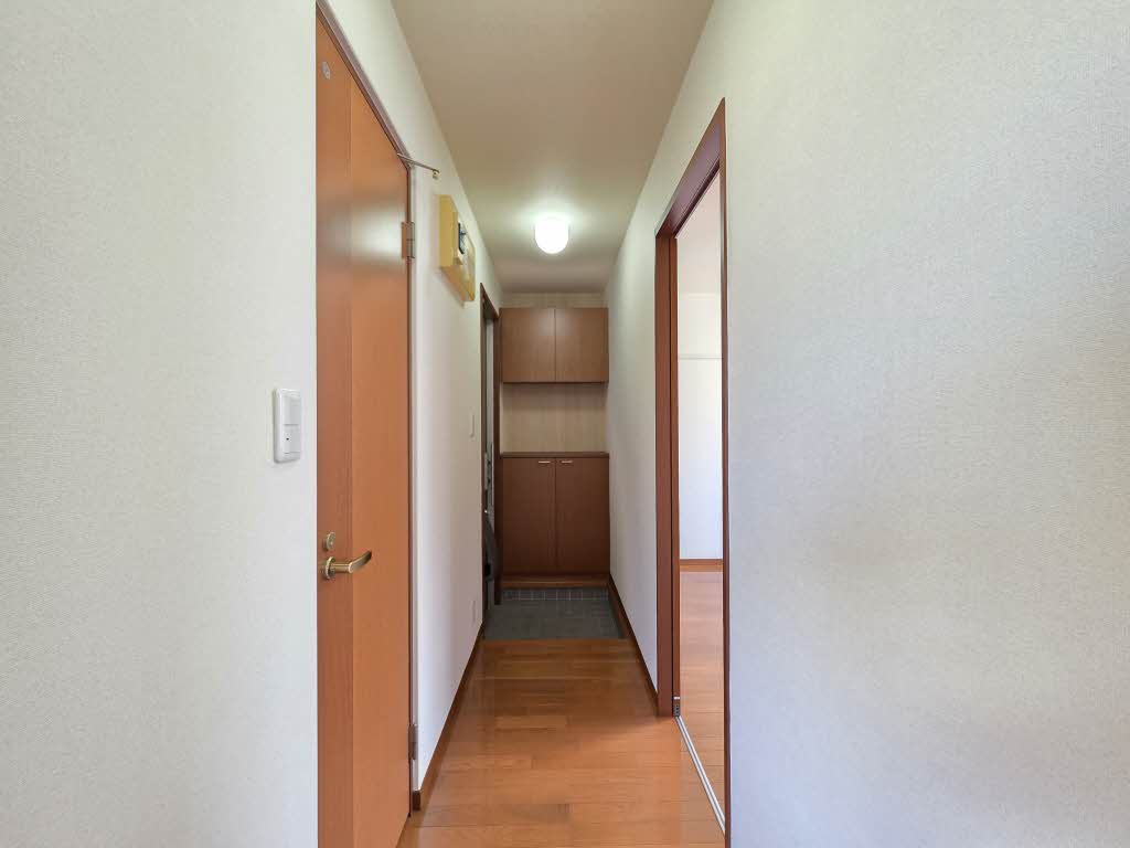 カモミール B102号-8