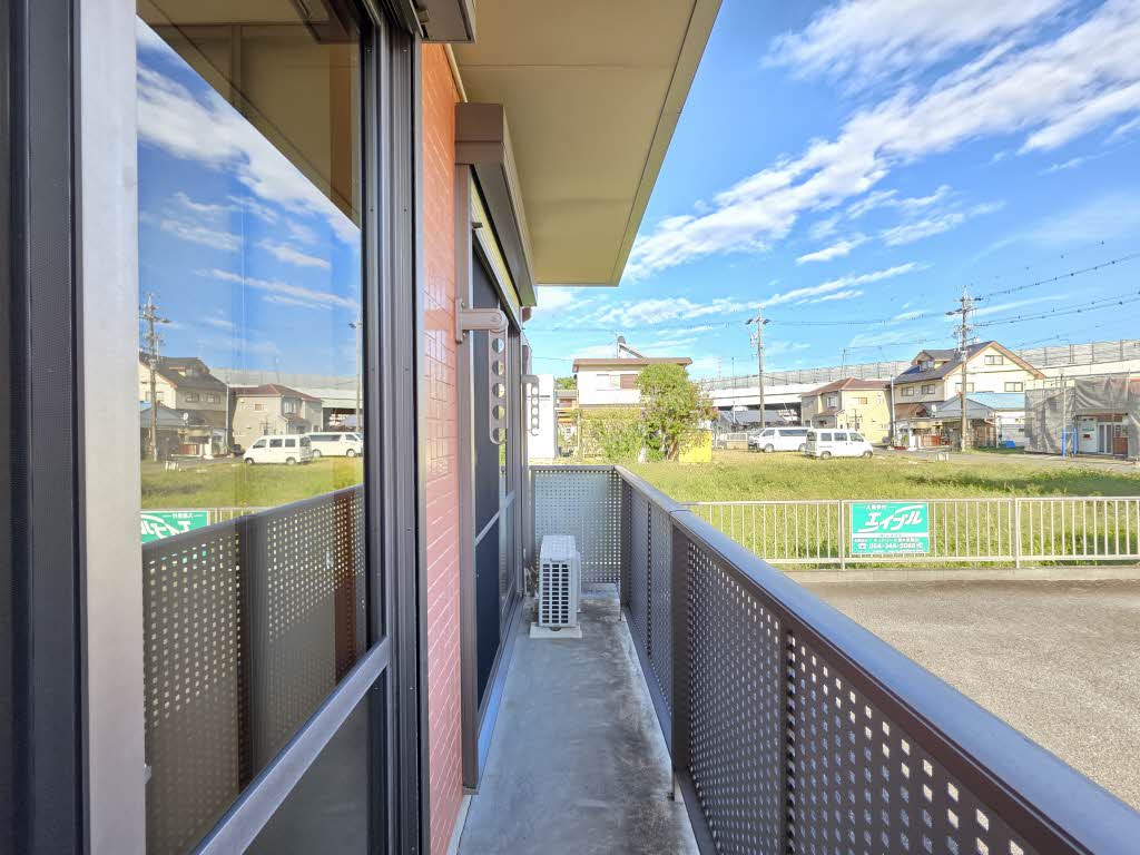 カモミール B102号-10