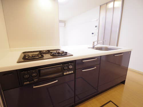 ルミエールサーノ 0102号-5