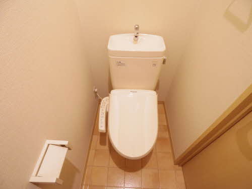 ルミエールサーノ 0102号-11