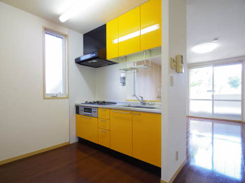 パークミズノ 0101号-3