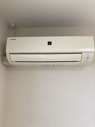 ゼファー新海 0102号-8