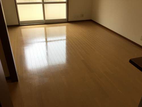 シャルマン光 000C号-4