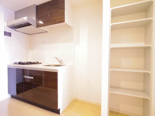 セレニティー勝川 0204号-10