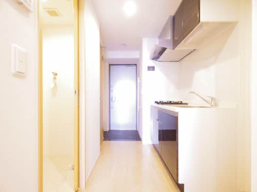 セレニティー勝川 0302号-9