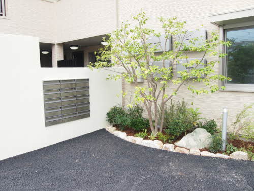 ラシュレ 0202号-6