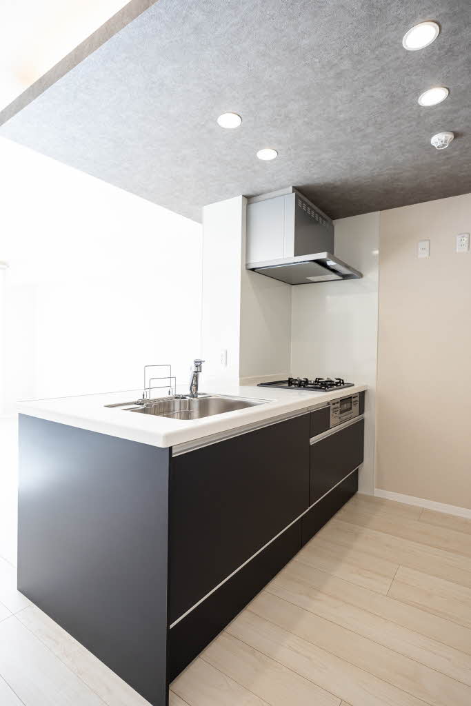 セリシール　ビジュ 0103号-7