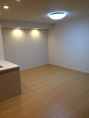 ラグジュアリープレイスタカバタ 0102号-3