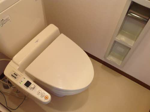 カトレアS Ⅲ 3103号-10