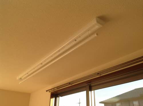 カトレアS Ⅲ 3103号-12