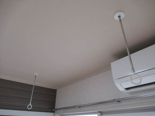 ＰＥＴＥＲ　ＲＡＢＩＴ　ＰＬＡＺＡ C101号-15