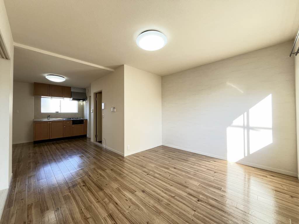 PETER RABIT PLAZA M101号-2