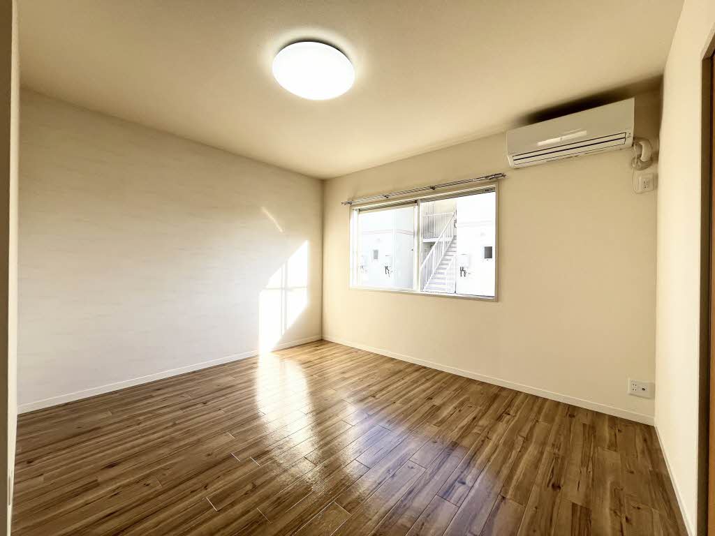 PETER RABIT PLAZA M101号-3