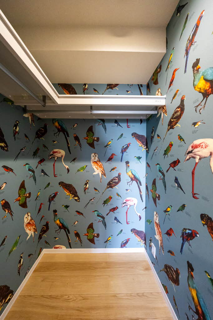 シャーメゾン弁天 0101号-7