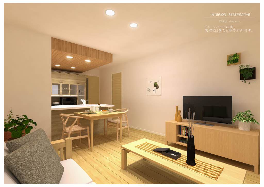 エクラジェント 0205号-2