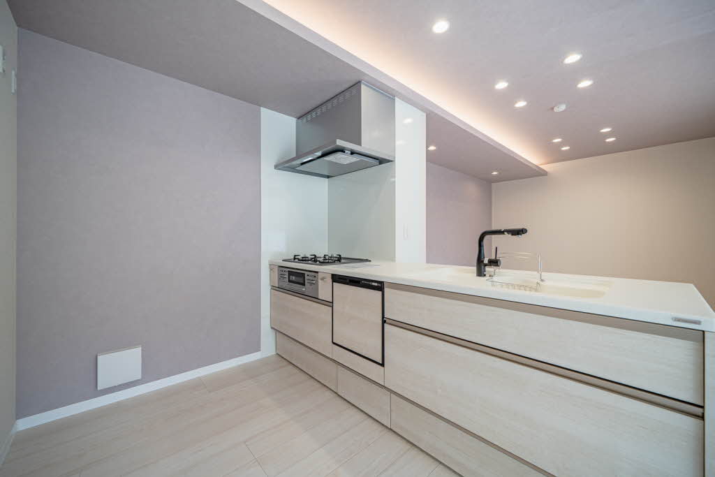 Ｓｈａｍａｉｓｏｎ　ｈｉｌｌｓ　白壁 0103号-8