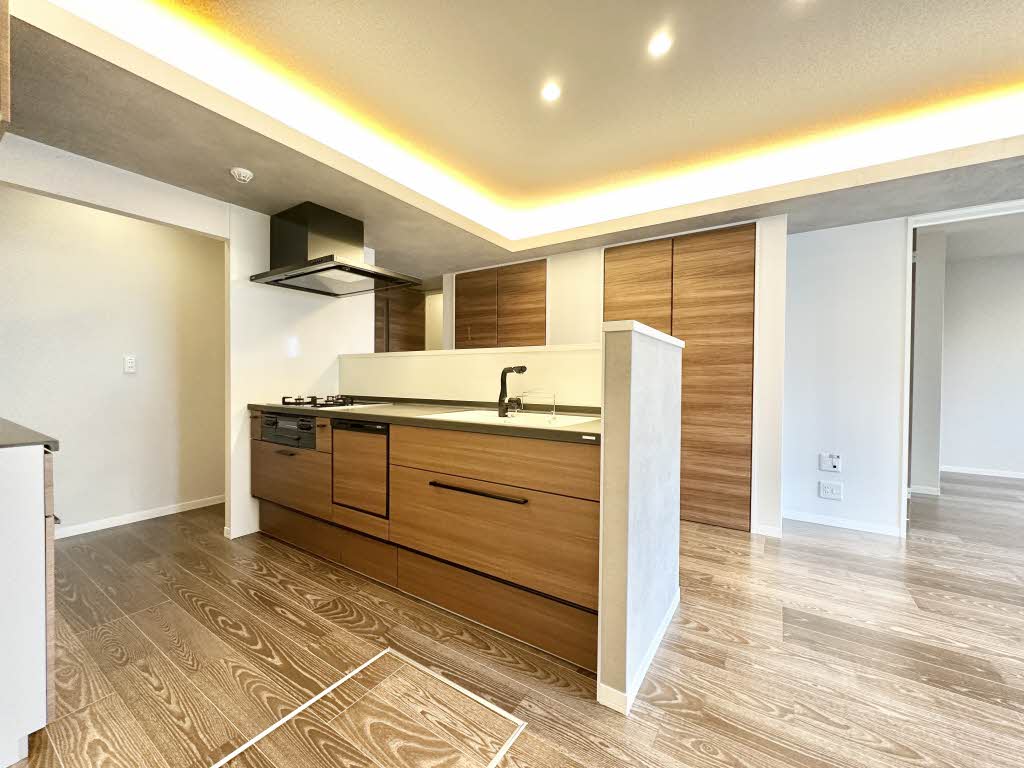 ザ リッツ大手町 0101号-4