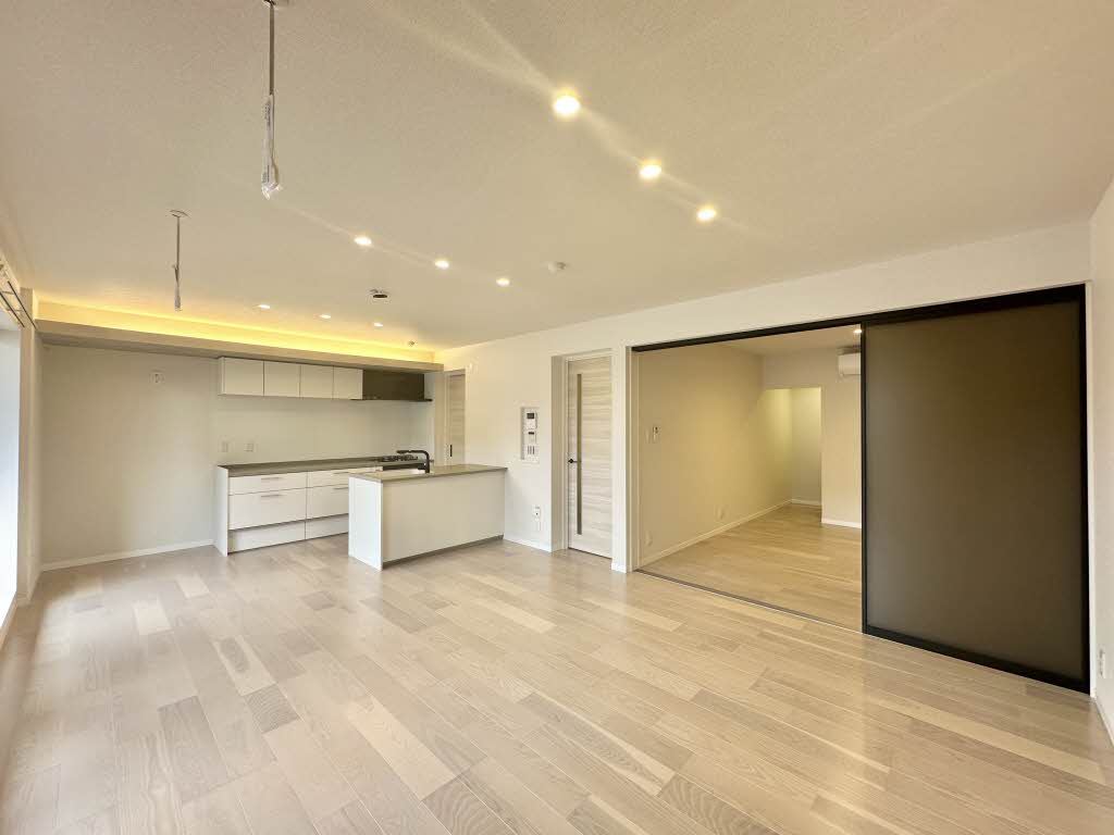 ザ リッツ大手町 0202号-3