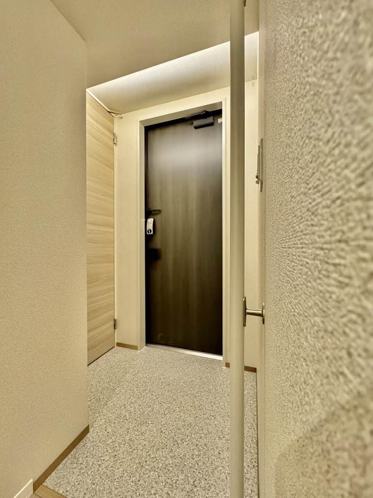 ザ　リッツ大手町 0303号-8