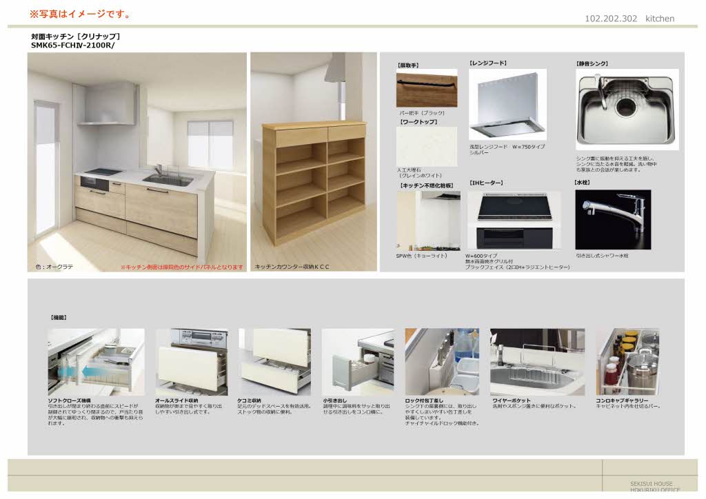 リオ・ブランコ 0302号-5