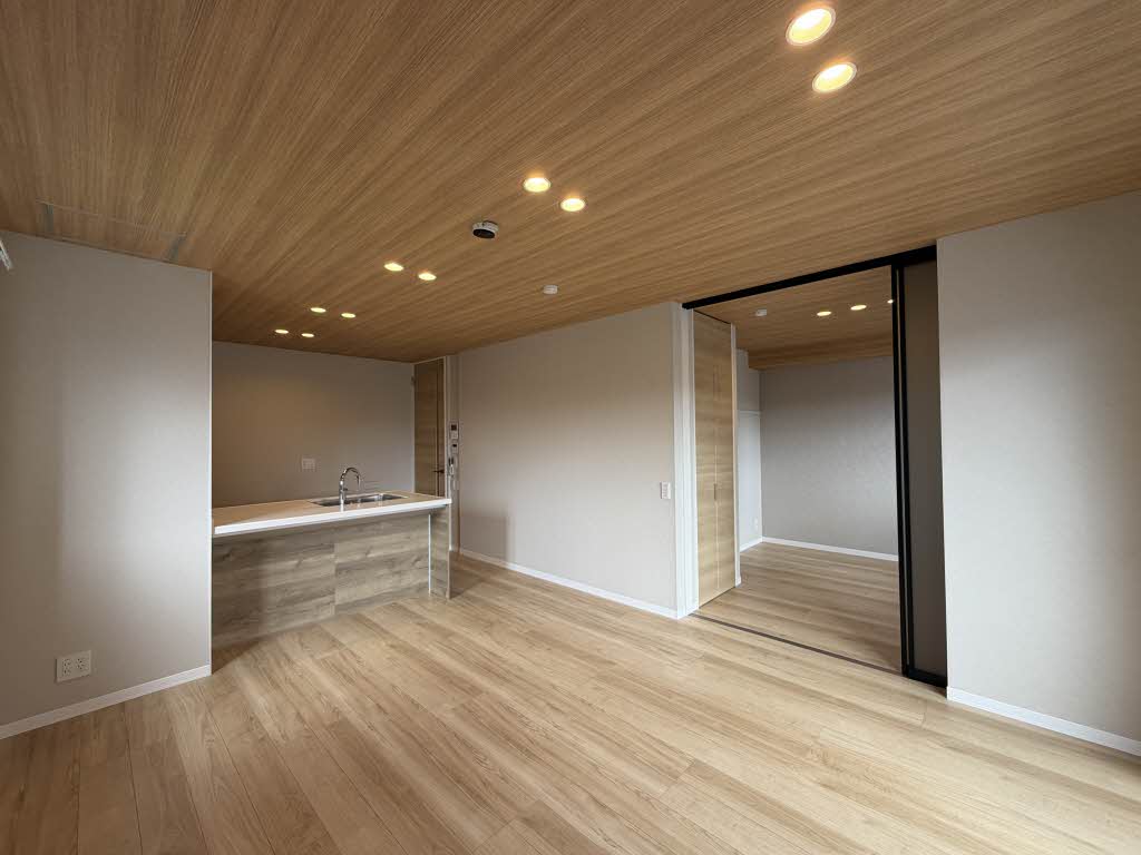 Lien 0203号-2