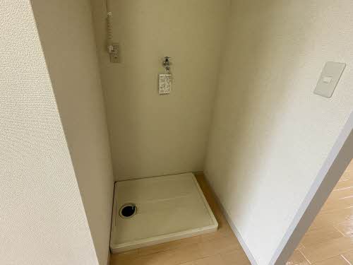 アークイガラシ 0201号-13