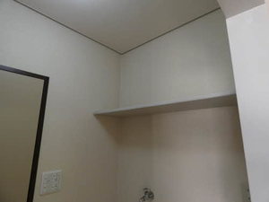 タウニー成田 0207号-5