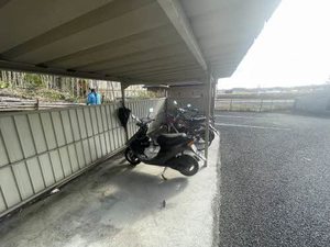 フォーブルスギ 0206号-8