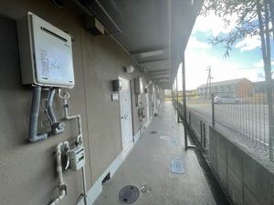 フォーブルスギ 0206号-10