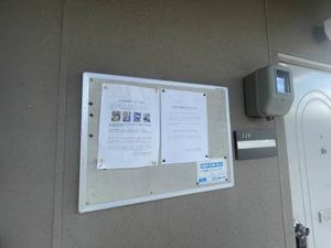 フォーブルスギ 0206号-11