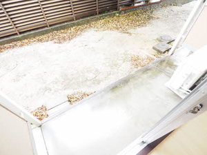 ハイツ弥生ケ岡 0103号-13