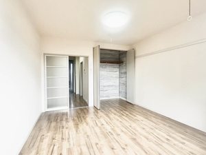 リヴェール壱番館 0206号-4