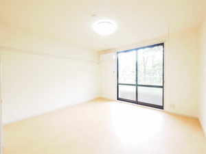 グリーンハイツ 0102号-3