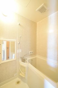 ディアス宮西 0201号-7