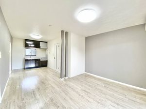 ディアスセリザワ 0101号-5