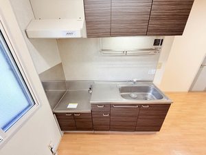 ディアス三本柳 A202号-10