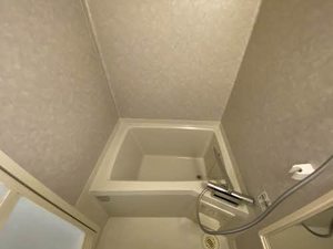 Ｃｏｚｙ　Ｆｌａｔｓ　Ⅰ 1103号-10