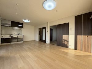 ドミール野村 B205号-13