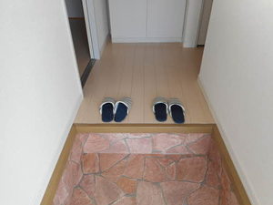 ドルフ野口Ⅰ 0102号-3