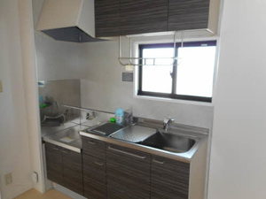 ドルフ野口Ⅰ 0102号-5