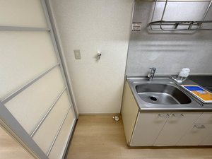 モーンプレイスⅡ 0203号-10